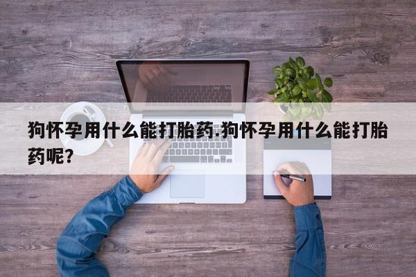 药流药联系微信狗怀孕用什么能打胎药.狗怀孕用什么能打胎药呢？