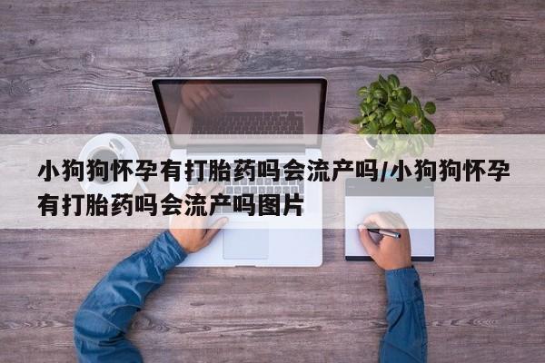 药流药联系微信小狗狗怀孕有打胎药吗会流产吗/小狗狗怀孕有打胎药吗会流产吗图片