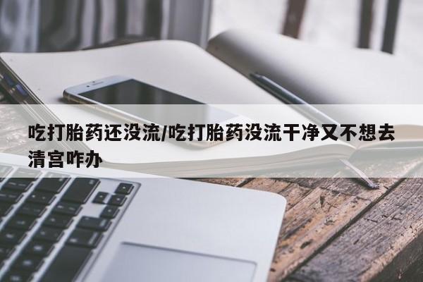 药流药联系微信吃打胎药还没流/吃打胎药没流干净又不想去清宫咋办