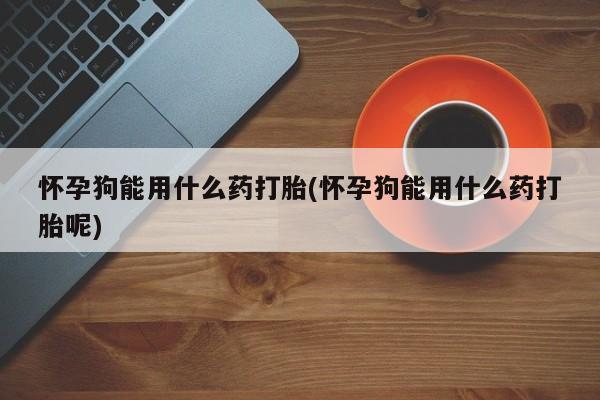 药流药联系微信怀孕狗能用什么药打胎(怀孕狗能用什么药打胎呢)